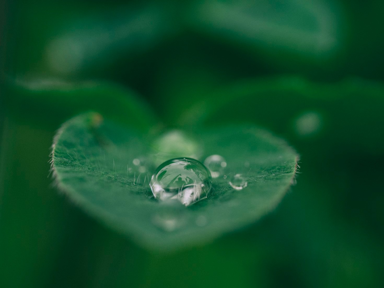 Innovazione e natura: la strada di Matese