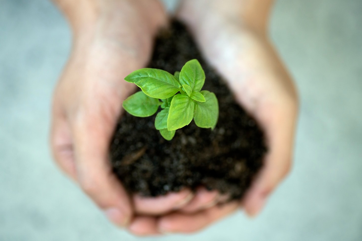 Strategie per vivere in modo più sostenibile