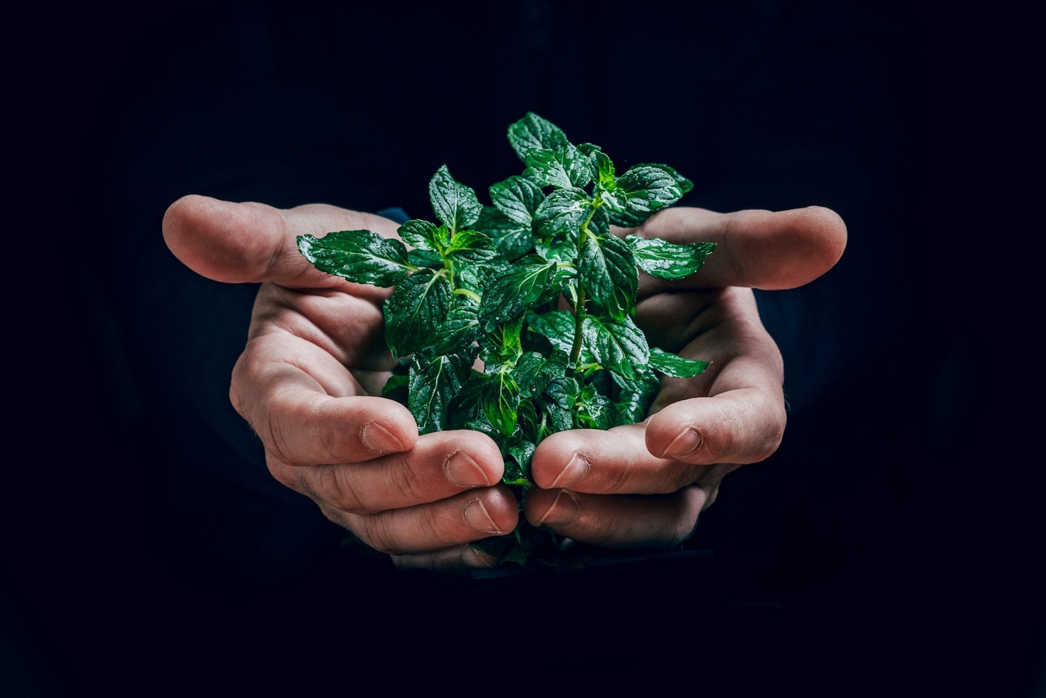 Iniziative locali per un mondo più verde